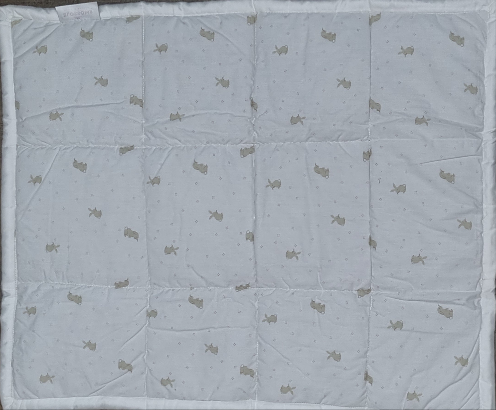 Blossoms kids embroidered double side quilt 28"x35"for age group upto 2 years.